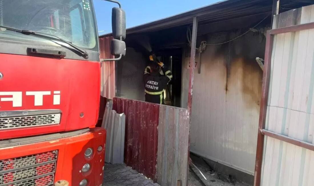 Hatay’ın Kırıkhan ilçesindeki Ahlat