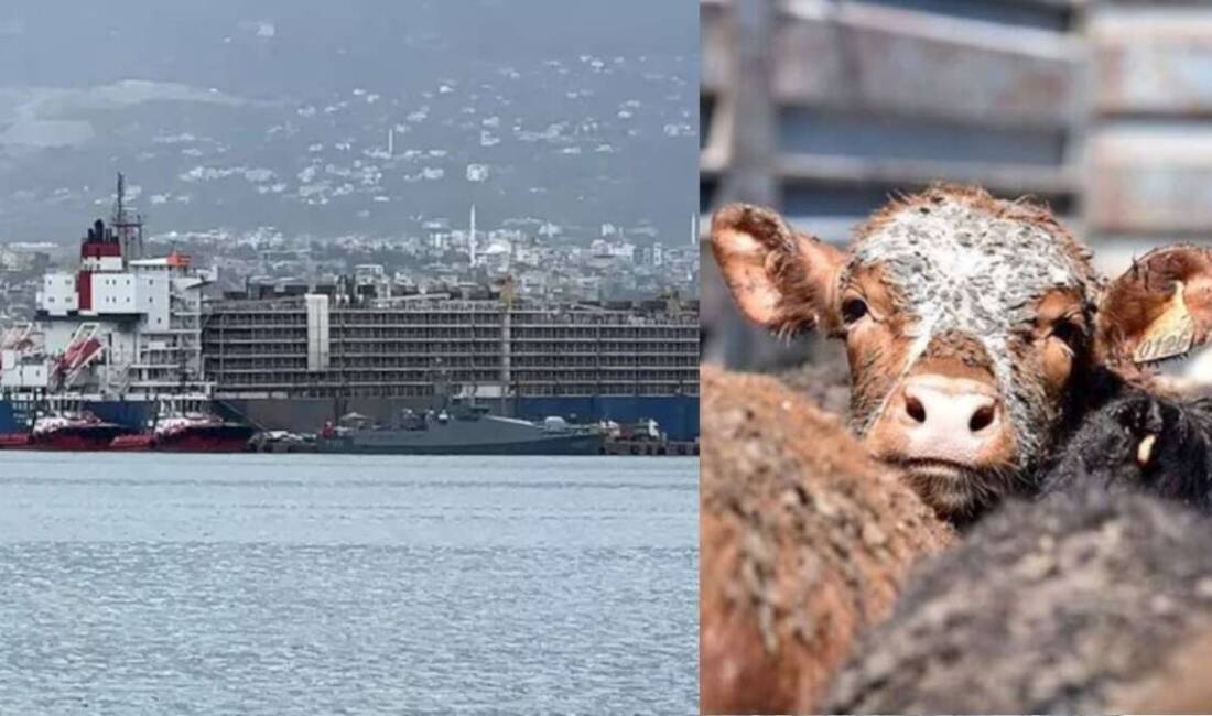 Hatay’ın İskenderun ilçesinde limandan