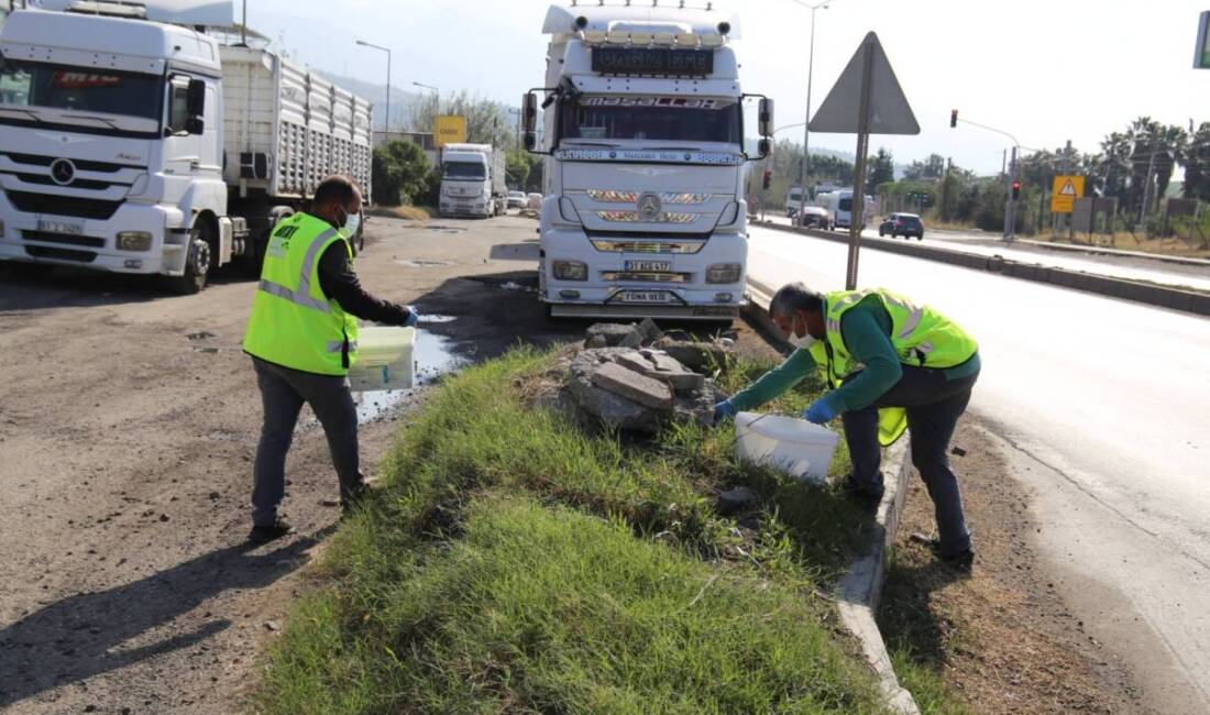 Hatay Büyükşehir Belediyesi, İskenderun