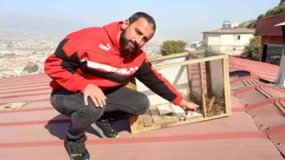 Hatay’ın Antakya ilçesine bağlı Aydınlıkevler Mahallesi’nde yaşayan Hikmet Karaoğlan, 30