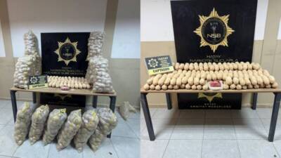 Hatay’da polis ekipleri, Suriye'den Dubai'ye gitmekte olan bir tırda 380