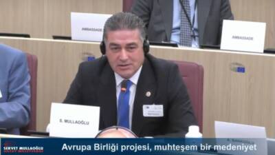 Servet Mullaoğlu, Türkiye'nin AB sürecindeki öncelikli meseleleri Avrupa Parlamentosu'nda gündeme