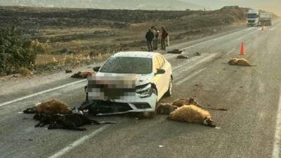 Hatay'da karşıdan karşıya geçen küçükbaş hayvan sürüsünün arasında dalan otomobilin