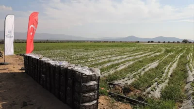 Depremlerden etkilenen Hatay’ın Hassa ilçesinde çiftçilere destek amacıyla 500 bin
