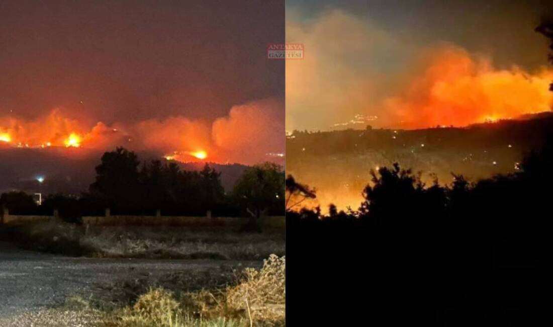 Arsuz-Kozaklı’da çıkan orman yangını,