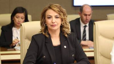 Cumhuriyet Halk Partisi (CHP) Hatay Milletvekili Nermin Yıldırım Kara, Hatay’daki