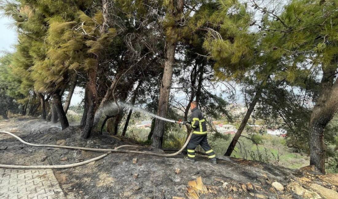 Hatay’ın Defne ilçesinde Orhanlı