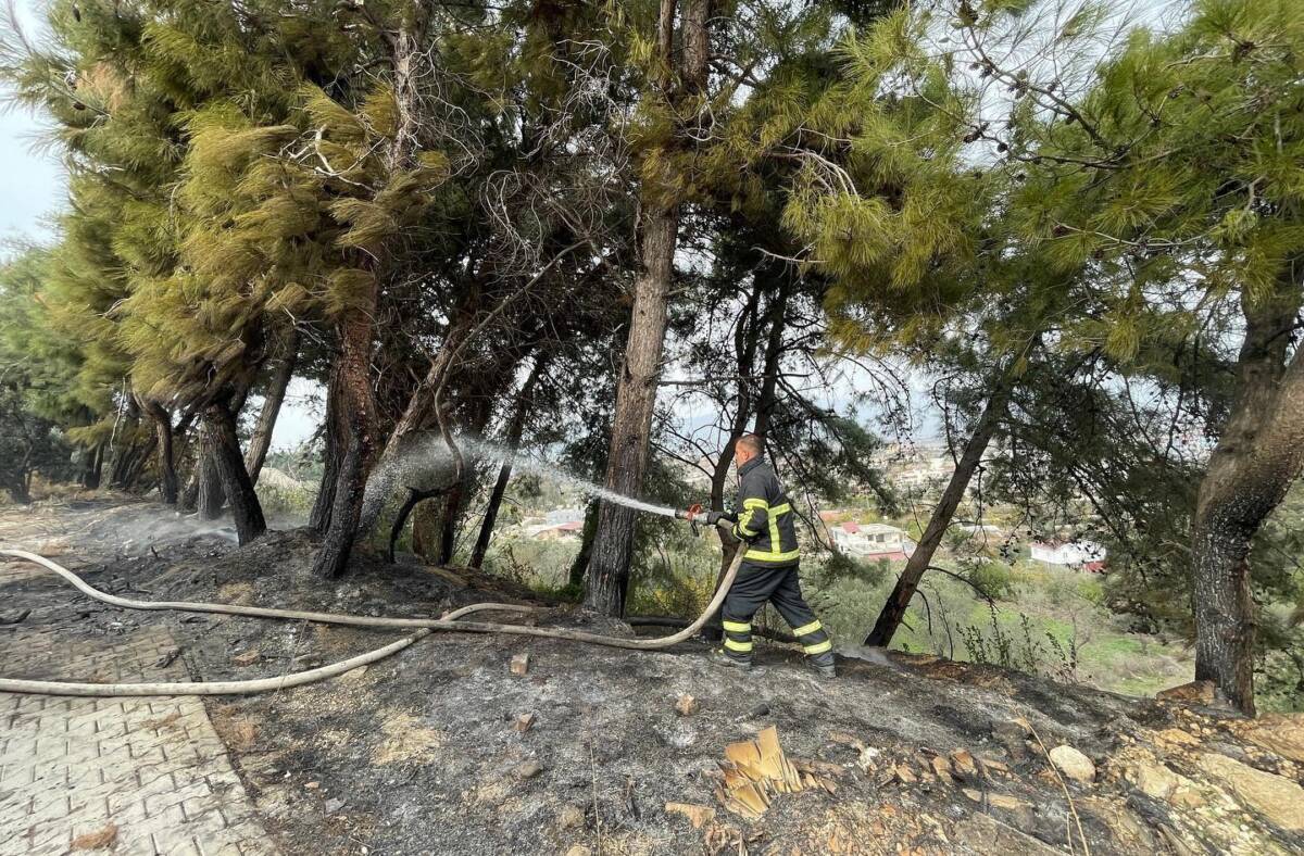 Hatay Defne’de Çamlık Alanda Yangın Söndürüldü