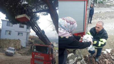 Yayladağı’nda mahsur kalan kedi kurtarıldı Hatay’ın Yayladağı ilçesinde ağaçta mahsur