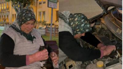 
Hatay'ın İskenderun ilçesinde etkili olan soğuk hava, hayvanlar için zorlu