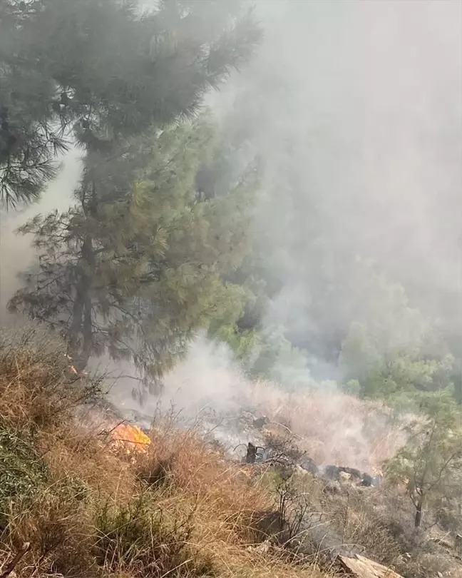 Hatay’ın İskenderun ilçesinde, İsmet İnönü Mahallesi’nde çıkan orman yangını, itfaiye