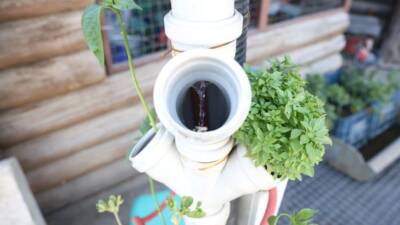 Hatay’ın Antakya ilçesinde yaşayan Ömer Çağan Avcı, hobi olarak başladığı