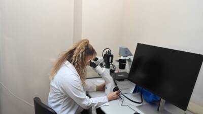 Hatay Mustafa Kemal Üniversitesi’nde (HMKÜ) deprem sonrası kum sineklerinin dağılımını