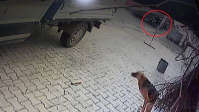 Hatay’ın Reyhanlı ilçesinde, ilaç almak için evinden çıkan 84 yaşındaki