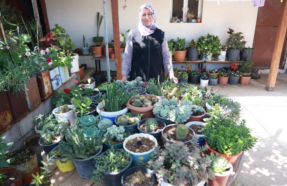 Hatay’ın Yayladağı ilçesinde Şenköy