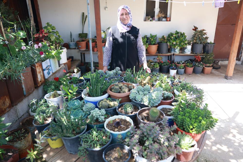 Hatay’ın Yayladağı ilçesinde Şenköy Mahallesi'nde yaşayan Zübeyde Gülen, yaklaşık 6