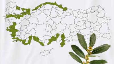 Samsun 19 Mayıs Ekolojik Üreticiler Eğitim ve Yardımlaşma Derneği Başkanı