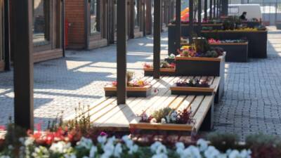 Hatay Büyükşehir Belediyesi (HBB), şehir genelinde gerçekleştirdiği çevre düzenlemesi, bitkilendirme