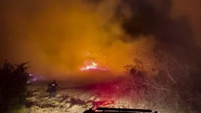 Hatay’ın Dörtyol ilçesinde Yeniyurt Mahallesi sahilindeki sazlık alanda çıkan yangın,