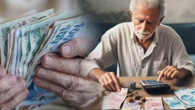 Çalışma ekonomisi uzmanı Prof. Dr. Aziz Çelik, emekli aylıkları ve