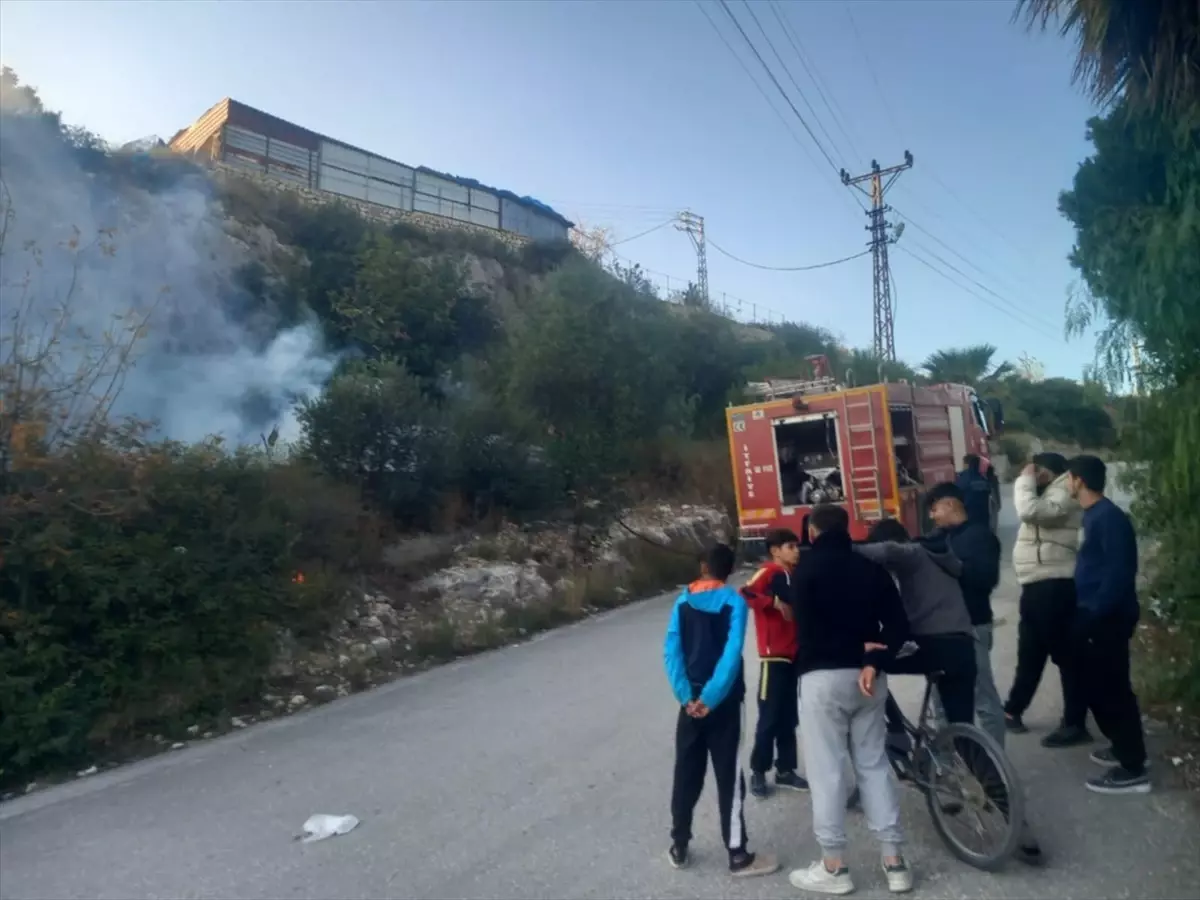 Hatay'ın Samandağ ilçesi Mağaracık Mahallesi'nde çıkan bahçe yangını, itfaiye ekipleri