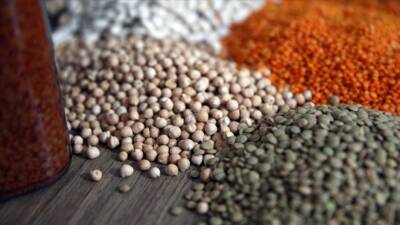 Türk hububat ihracatçıları, ABD’nin Kanada’ya uyguladığı yüzde 25 gümrük vergisiyle