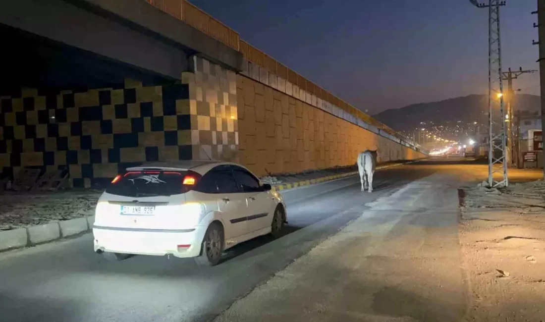 Hatay’da sevkiyat esnasında tırdan