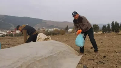 Hatay'ın Antakya ilçesinde 20 dönümlük tarlaya erkenci kabak eken çiftçi