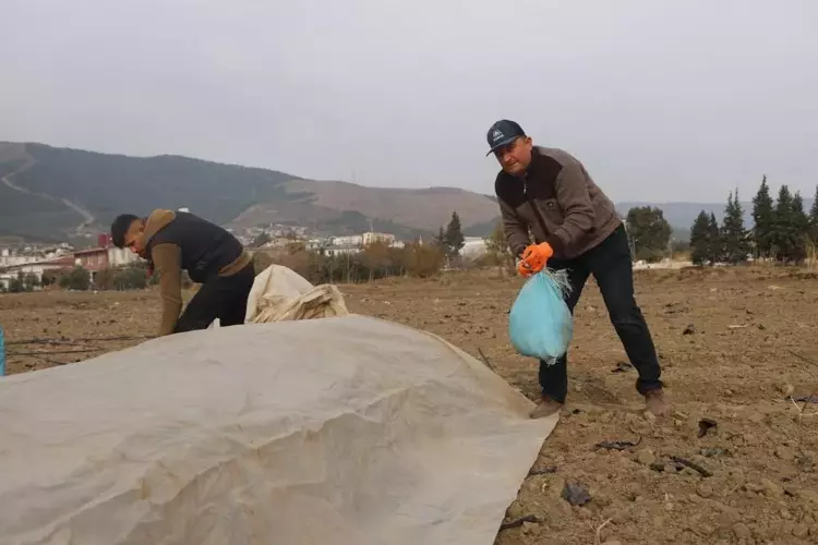 Hatay'ın Antakya ilçesinde 20 dönümlük tarlaya erkenci kabak eken çiftçi