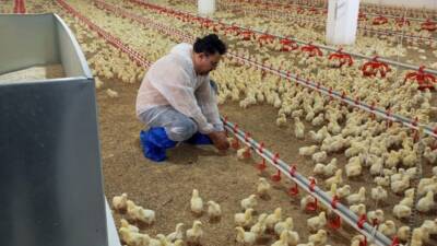 Samandağ İlçe Tarım ve Orman Müdürlüğü ekipleri, ilçedeki ahırları denetleyerek