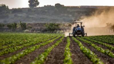 Tarım sektörü verilerine göre, bu rakam bir önceki yıla kıyasla