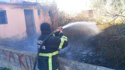Hatay’ın Samandağ ilçesine bağlı Kapısuyu Mahallesi’nde, bir evin bahçesinde çıkan