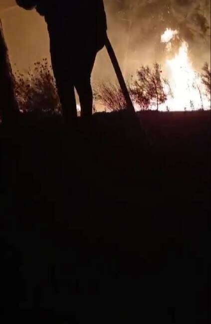 Hatay’ın Arsuz ilçesinde gece saatlerinde çıkan orman yangını, itfaiye ekiplerinin