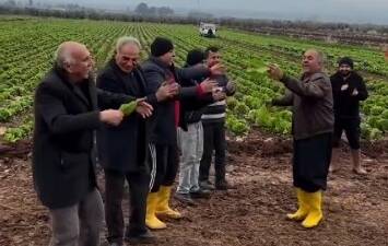 Hatay'ın Hassa ilçesindeki çiftçiler, bu yıl marul fiyatlarının yükselmesiyle büyük