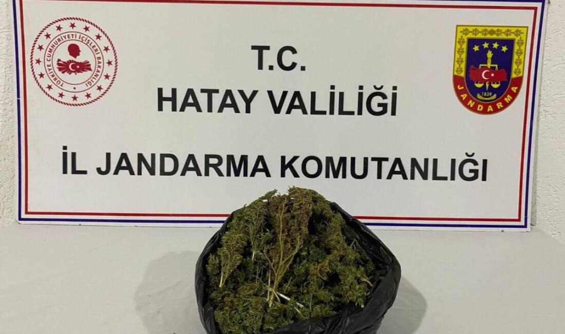 Hatay İl Jandarma Komutanlığı ekipleri, uyuşturucu madde ve kaçakçılıkla mücadele