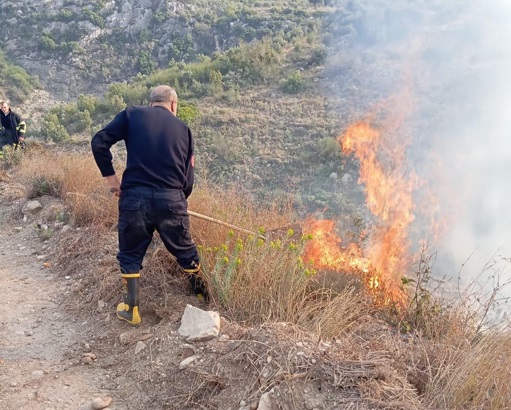 Hatay’ın Samandağ ilçesinde, Tekebaşı Mahallesi’nde yer alan ormanlık alanda çıkan