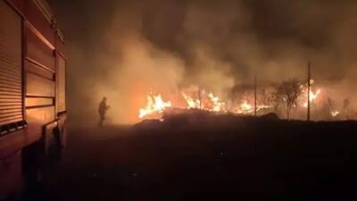 Hatay'ın Erzin ilçesinde çıkan otluk yangını panik yarattı.