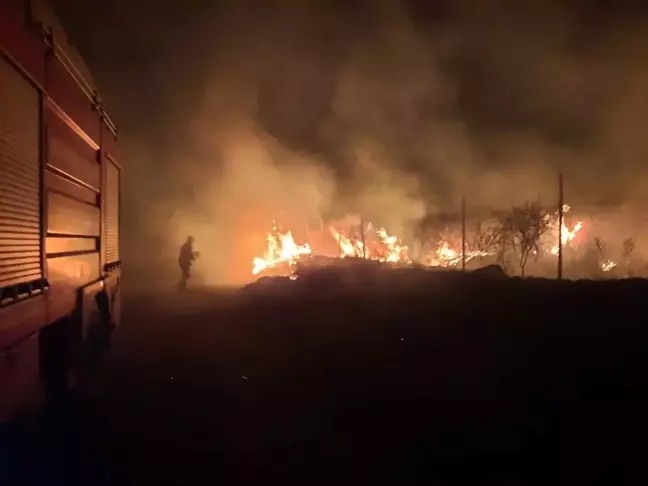 Hatay'ın Erzin ilçesinde çıkan otluk yangını panik yarattı.