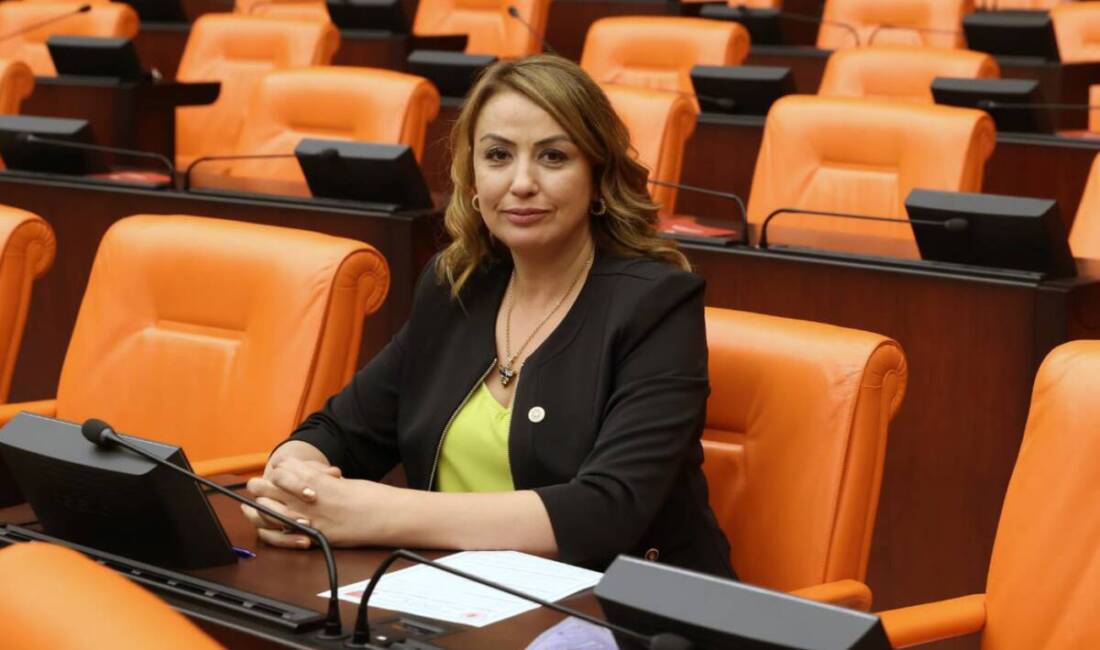 Cumhuriyet Halk Partisi (CHP) Hatay Milletvekili Nermin Yıldırım Kara, Hataylı