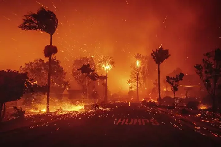 Los Angeles’ta başlayan ve hızla yayılan orman yangınları, sadece çevreyi