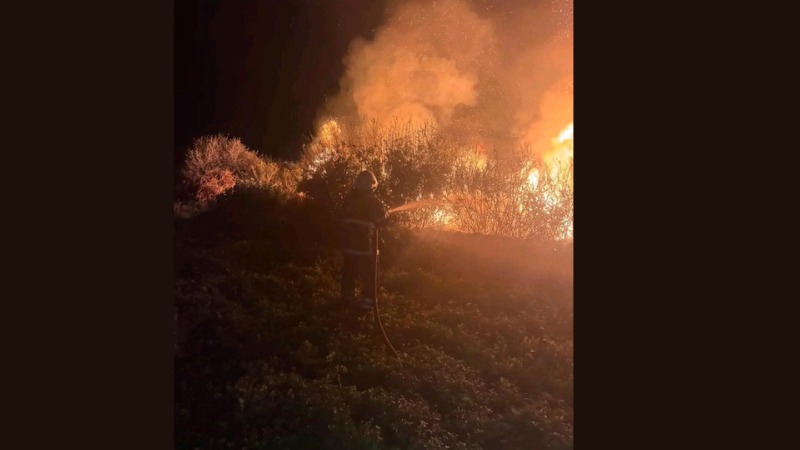 Hatay’ın Arsuz ilçesi Akçalı Mahallesi’nde kamışlık bir alanda çıkan yangın,