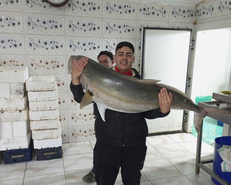 Hatay'ın İskenderun Körfezi'nde oltayla balık avlayan Ramazan Giravi, 1 metre