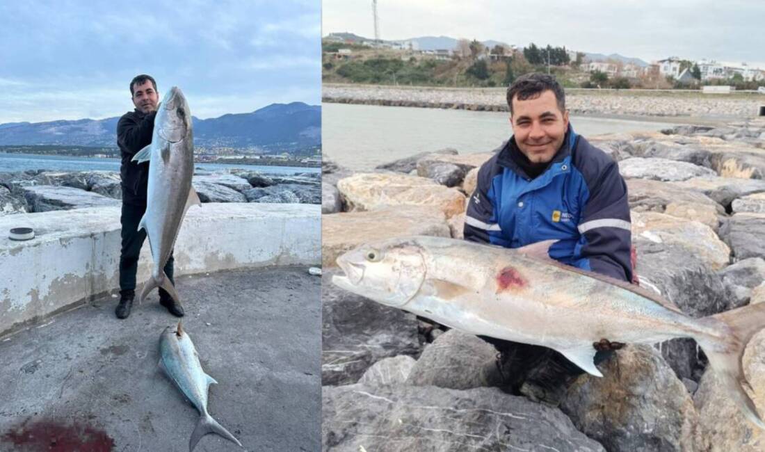 Hatay’ın İskenderun Körfezi’nde amatör balıkçı Volkan Suğurtin, aynı oltaya takılan