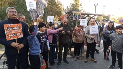   Hatay’ın İskenderun ilçesinde bir grup hayvansever, 7527 sayılı yasanın