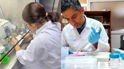 Hatay Mustafa Kemal Üniversitesi’nde yürütülen TÜBİTAK destekli projeler, modern tekniklerle