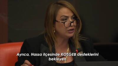 CHP Hatay Milletvekili Nermin Yıldırım Kara, Türkiye Büyük Millet Meclisi