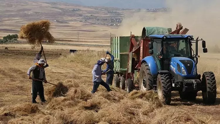 Tarım-ÜFE'de, 2024 yılı Aralık ayında bir önceki aya göre %0,39