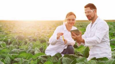 Ziraat ve kimya mühendisleri için özel sektörde çalışacaklara ödenecek maaşlar,