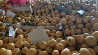 Hatay İl Tarım ve Orman Müdürlüğü, çevre ve insan sağlığını