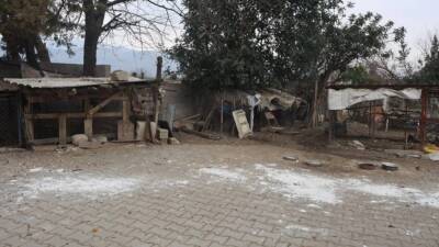 Antakya’ya bağlı Paşaköy kırsalında tavuk vebası (Avian Influenza) tespit edilmesi